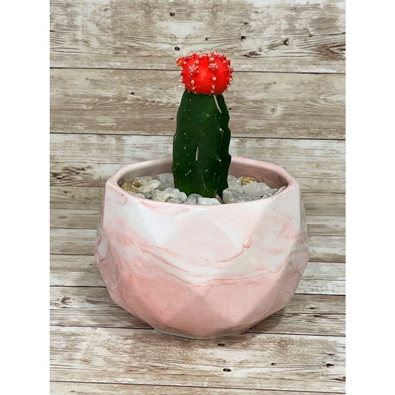 Cactus Rojo en Mármol Rosa